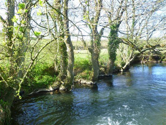 River Bride